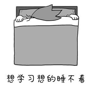 示例图片
